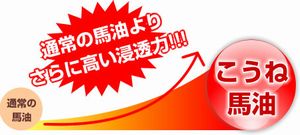 �n�� �V�����v�[